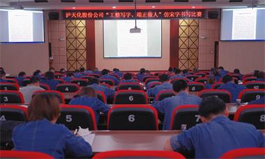 仿宋字比赛.jpg