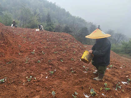 火博体育股份公司春肥送暖助春耕