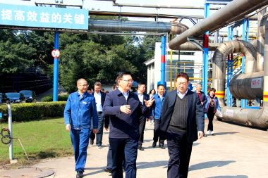 泸州市委副书记市长杨林兴率队到火博体育调研
