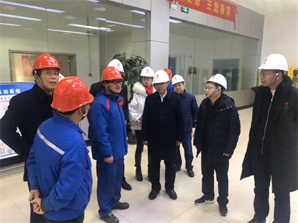 火博体育股份公司党委书记廖廷君率队赴中盐红四方公司及史丹利公司调研