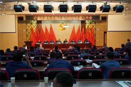 火博体育股份公司召开2020年党建工作会