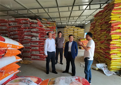 火博体育股份公司党委书记廖廷君带队深入一线开展市场调研