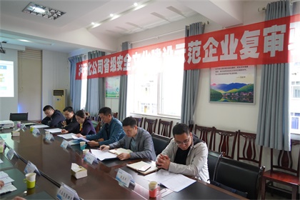 火博体育股份公司通过“省级安全文化建设示范企业”复审验收现场审核