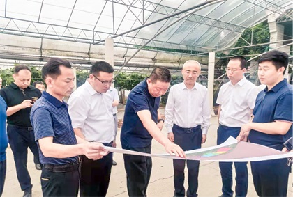 泸州市委常委、组织部长曹斌率队调研火博体育纳溪现代农业种植园项目
