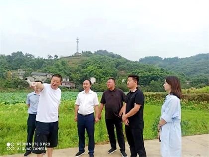火博体育股份公司党委书记、董事长廖廷君调研纳溪现代农业种植园项目