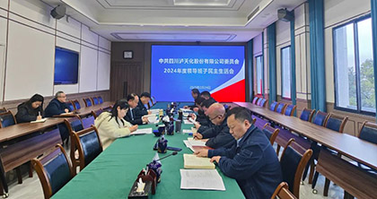 火博体育股份公司党委召开2024年度领导班子民主生活会